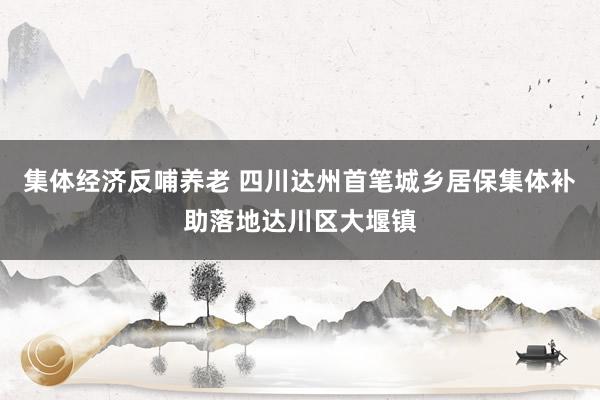 集体经济反哺养老 四川达州首笔城乡居保集体补助落地达川区大堰镇