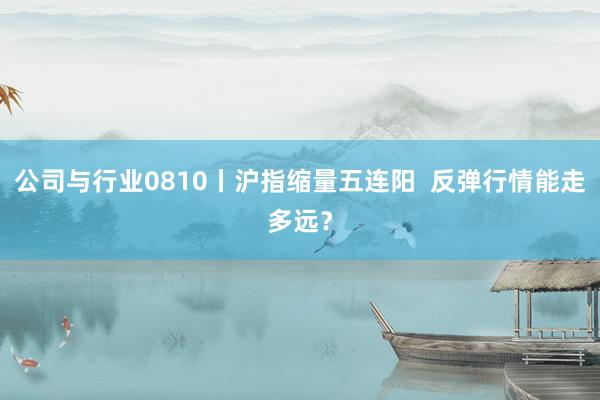 公司与行业0810丨沪指缩量五连阳  反弹行情能走多远？