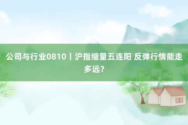 公司与行业0810丨沪指缩量五连阳 反弹行情能走多远？