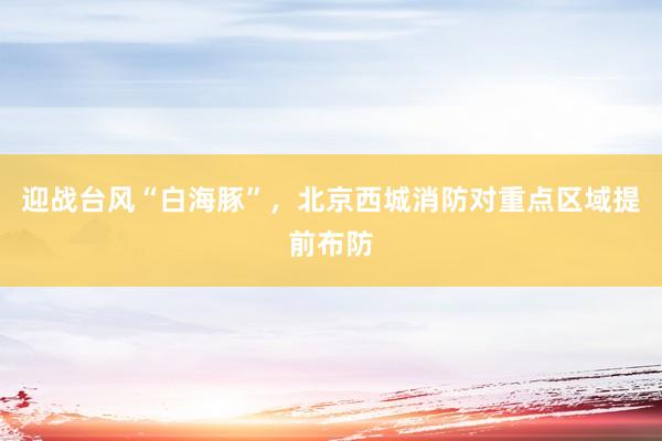 迎战台风“白海豚”，北京西城消防对重点区域提前布防