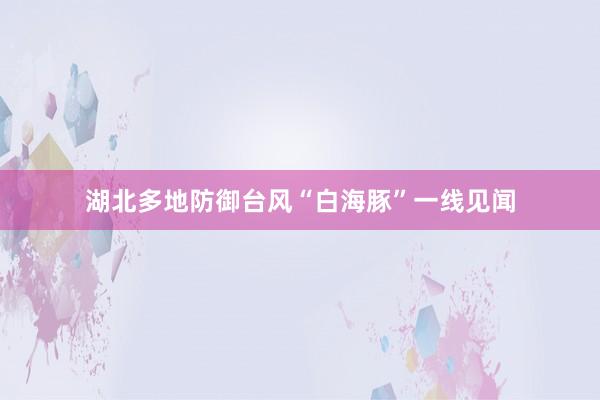 湖北多地防御台风“白海豚”一线见闻