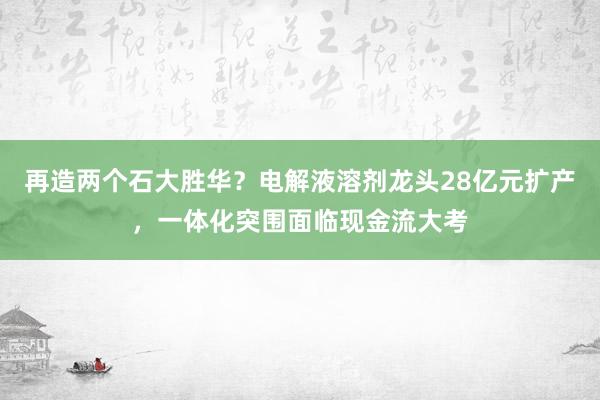再造两个石大胜华？电解液溶剂龙头28亿元扩产，一体化突围面临现金流大考