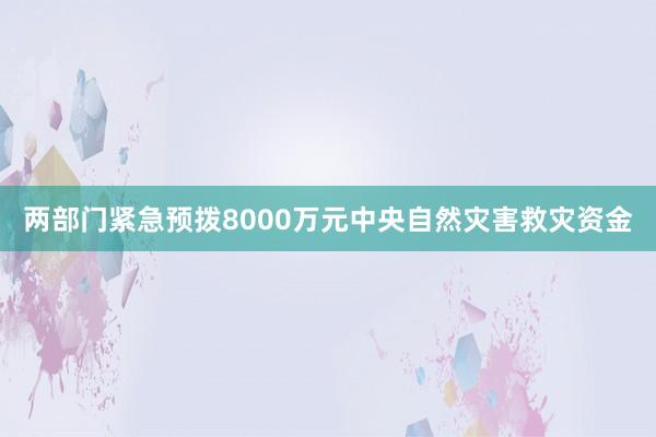 两部门紧急预拨8000万元中央自然灾害救灾资金