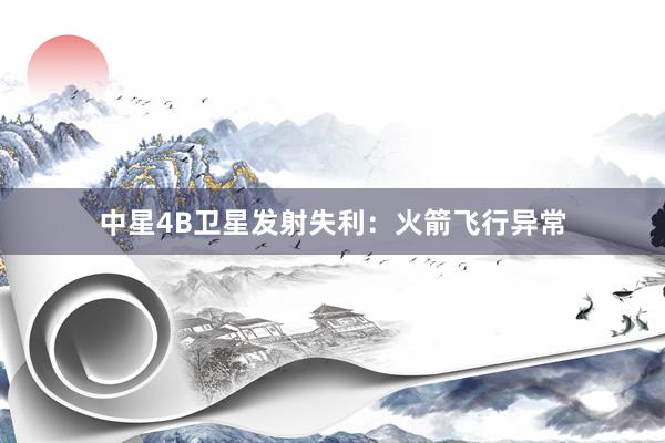 中星4B卫星发射失利：火箭飞行异常