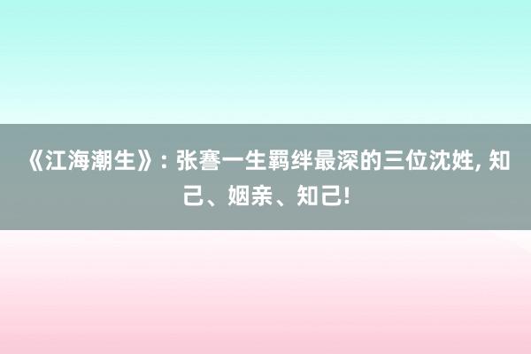 《江海潮生》: 张謇一生羁绊最深的三位沈姓, 知己、姻亲、知己!