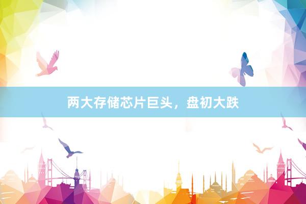 两大存储芯片巨头，盘初大跌