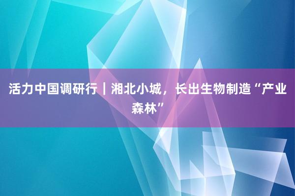 活力中国调研行｜湘北小城，长出生物制造“产业森林”