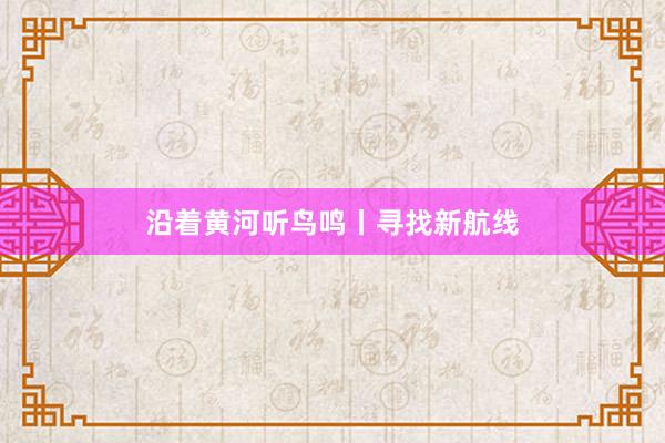 沿着黄河听鸟鸣丨寻找新航线