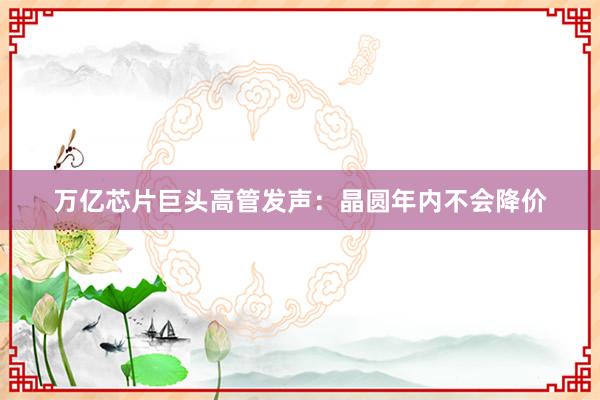 万亿芯片巨头高管发声：晶圆年内不会降价
