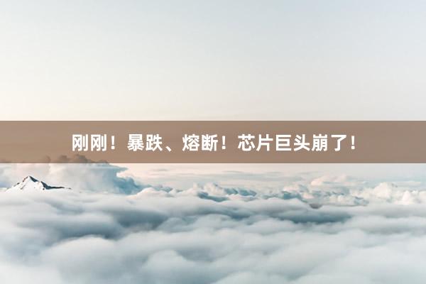 刚刚！暴跌、熔断！芯片巨头崩了！