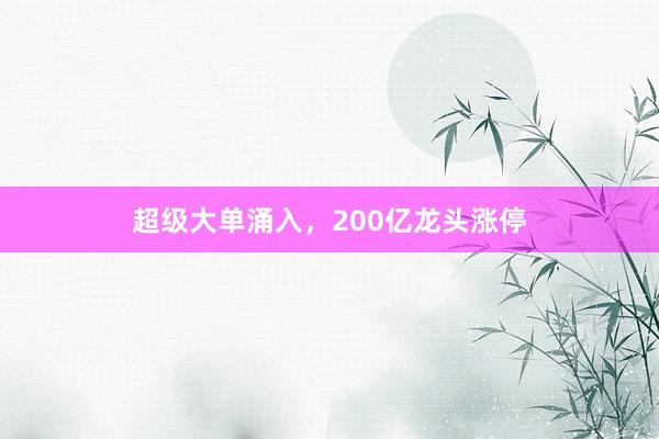 超级大单涌入，200亿龙头涨停