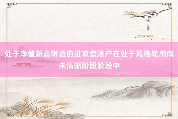 处于净值新高附近的进攻型账户在处于风格轮廓尚未清晰阶段阶段中