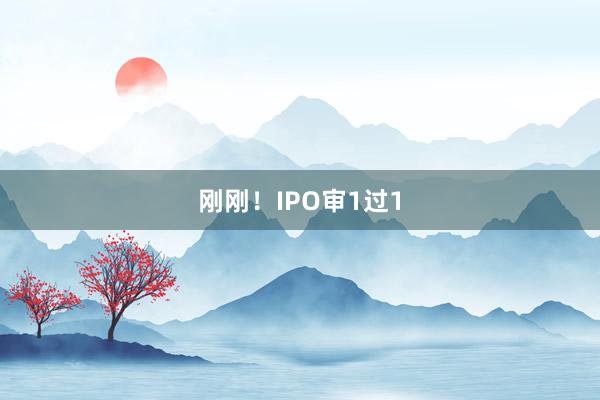 刚刚！IPO审1过1