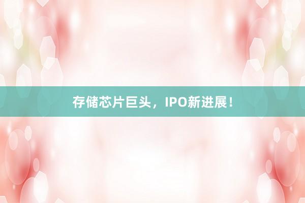 存储芯片巨头，IPO新进展！