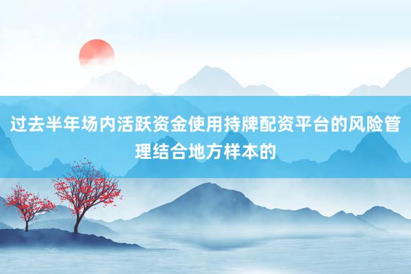 过去半年场内活跃资金使用持牌配资平台的风险管理结合地方样本的