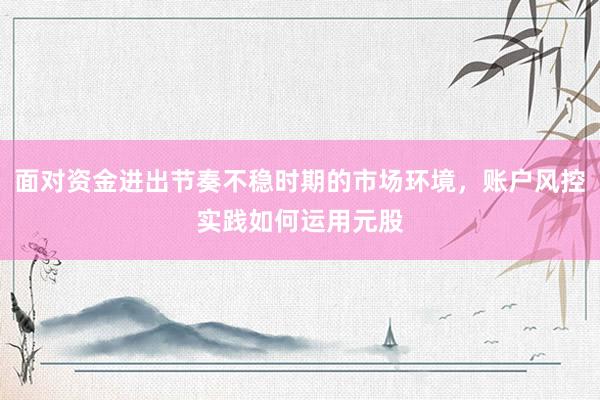 面对资金进出节奏不稳时期的市场环境，账户风控实践如何运用元股