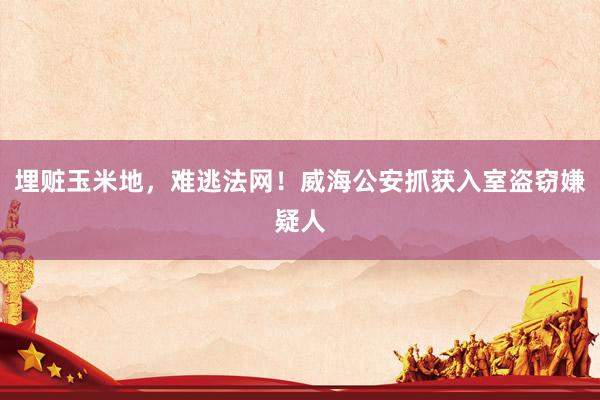 埋赃玉米地，难逃法网！威海公安抓获入室盗窃嫌疑人