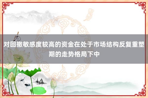 对回撤敏感度较高的资金在处于市场结构反复重塑期的走势格局下中