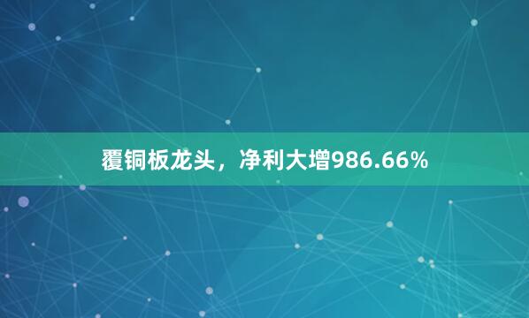 覆铜板龙头，净利大增986.66%
