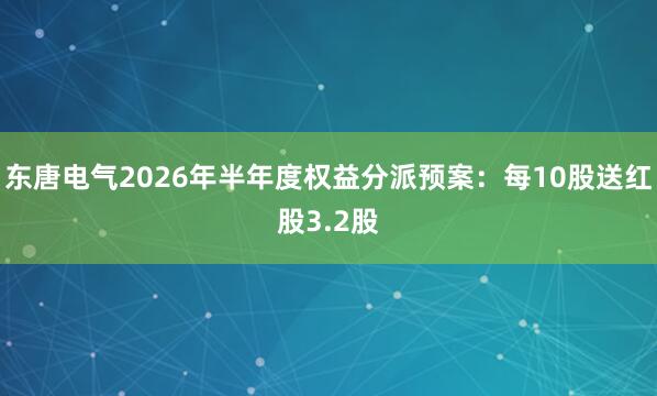 东唐电气2026年半年度权益分派预案：每10股送红股3.2股