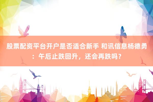 股票配资平台开户是否适合新手 和讯信息杨德勇：午后止跌回升，还会再跌吗？