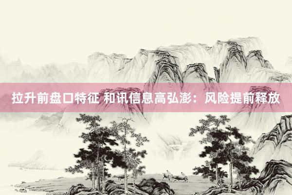 拉升前盘口特征 和讯信息高弘澎：风险提前释放