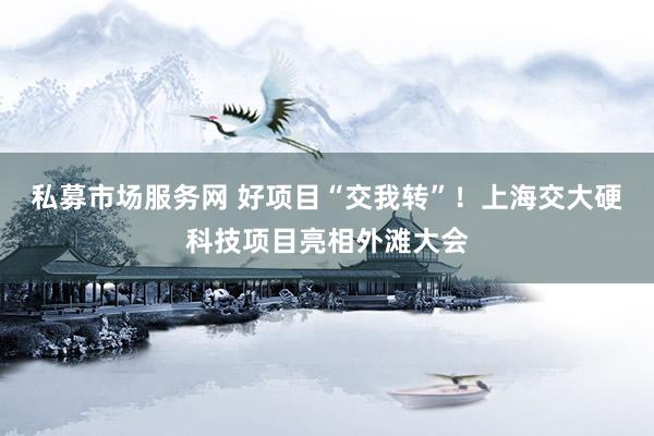 私募市场服务网 好项目“交我转”！上海交大硬科技项目亮相外滩大会
