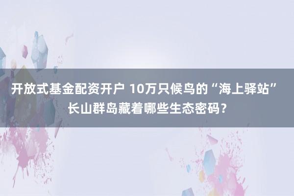 开放式基金配资开户 10万只候鸟的“海上驿站” 长山群岛藏着哪些生态密码？