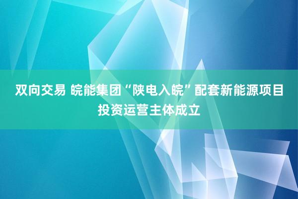 双向交易 皖能集团“陕电入皖”配套新能源项目投资运营主体成立